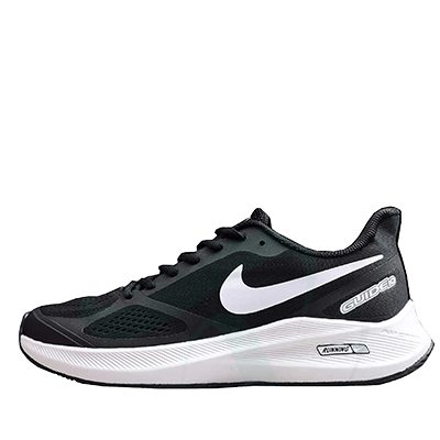 نایک گاید ۱۰  Nike Guide